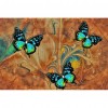 Butterfly- Full Round Diamond Painting