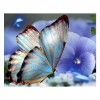 Blue Butterfly - Partial Round Diamond Painting