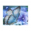 Blue Butterfly - Partial Round Diamond Painting