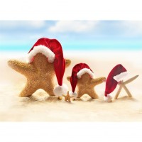 Christmas Seastars - Full...