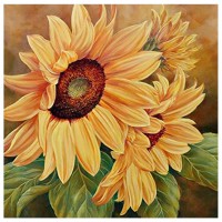 Sunflower - Full Round Di...