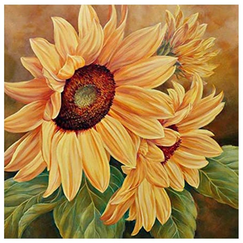 Sunflower - Full Rou...