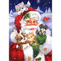 Santa Claus With Animal -...