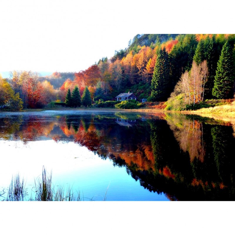 Lake Forest - Full R...