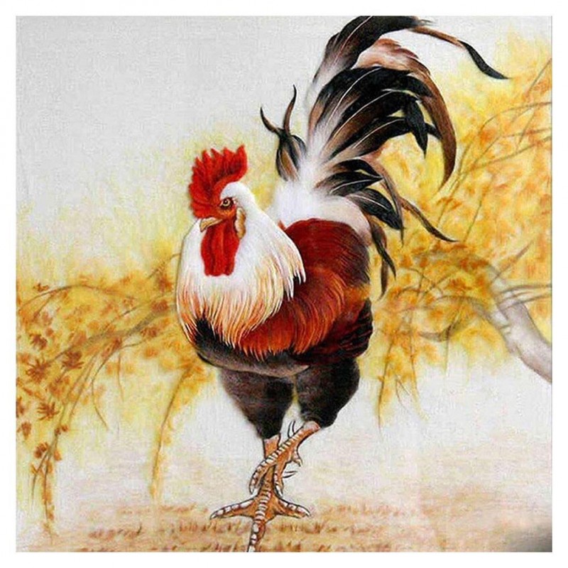 Rooster - Full Round...