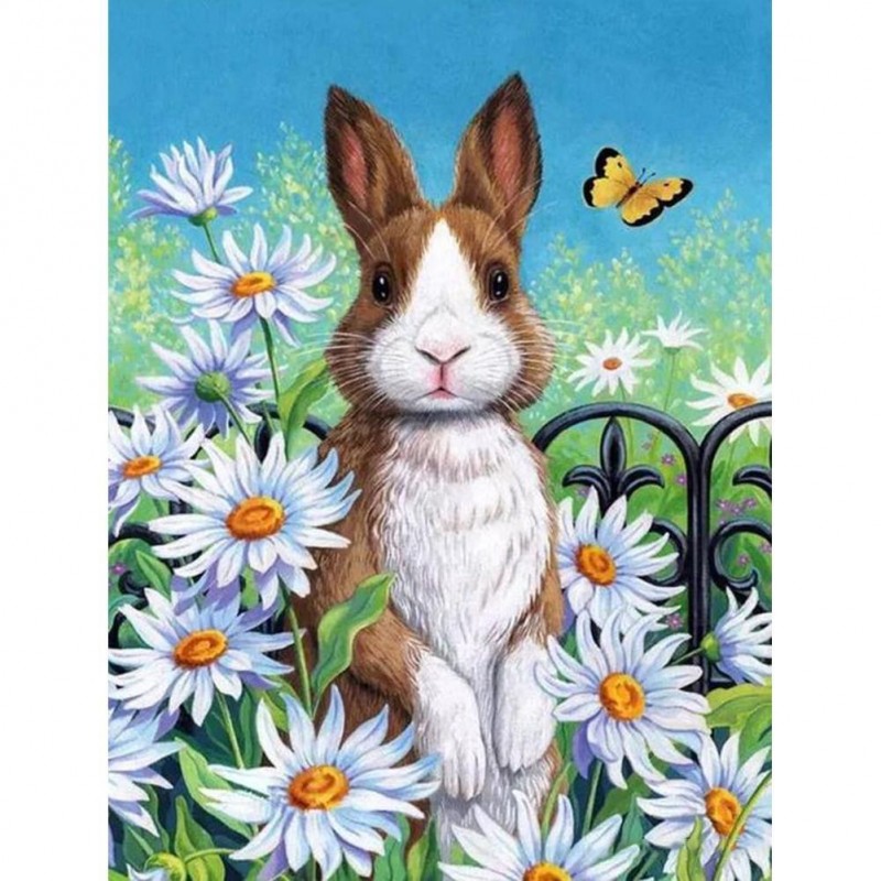 Rabbit - Full Round ...