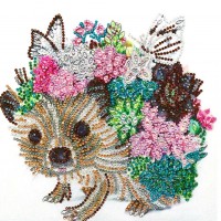 Hedgehog - Crystal Rhines...